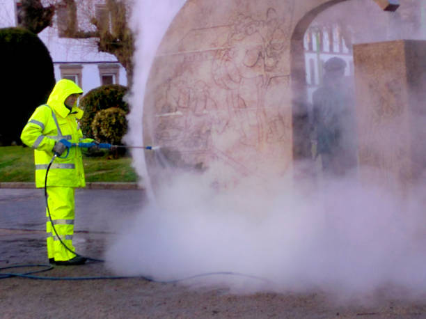 Best Roof Pressure Washing  in Merrill, IA